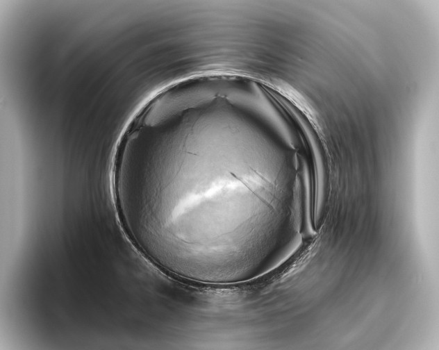 X0000096441334200801241351