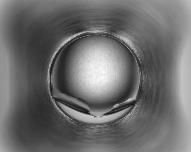 X0000096441335200801241351