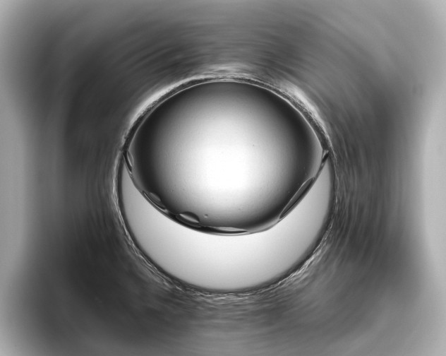X0000096441336200801241351