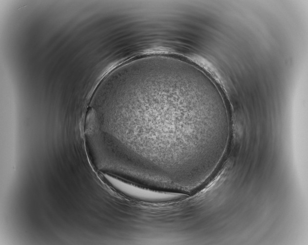 X0000096441337200801241351
