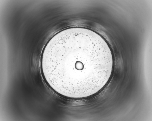 X0000096441338200801241351