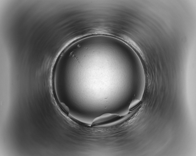 X0000096441339200801241351