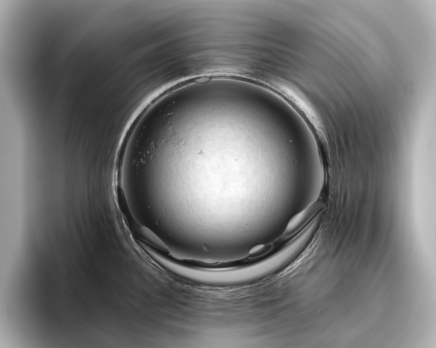X0000096441340200801241351