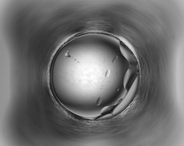 X0000096441341200801241351