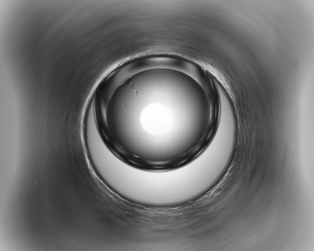 X0000096441342200801241351