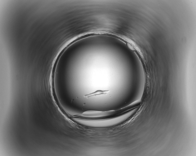 X0000096441343200801241351