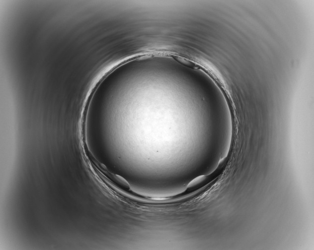 X0000096441344200801241351