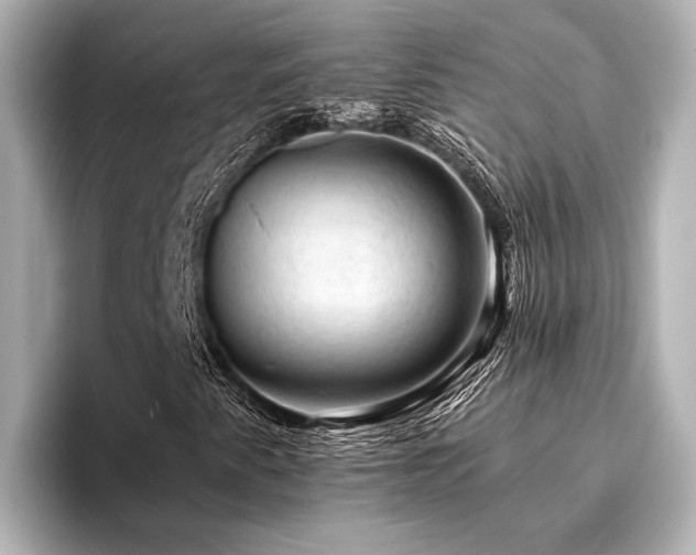 X0000096441345200801241350