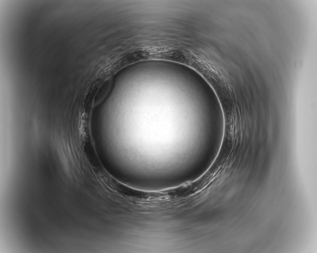 X0000096441346200801241350