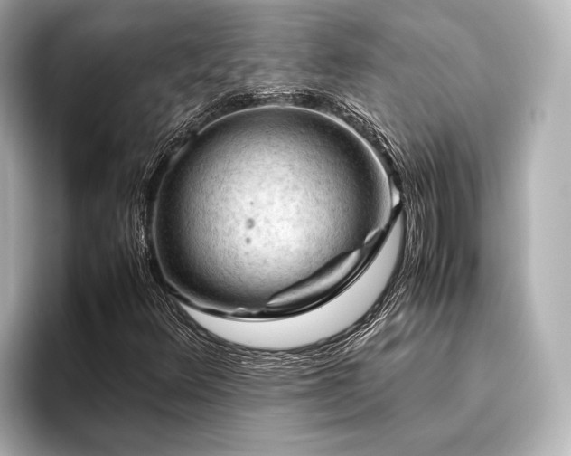 X0000096441348200801241350