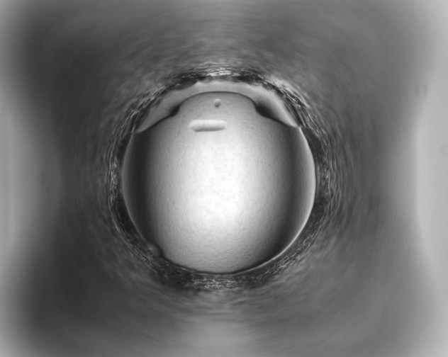 X0000096441349200801241350