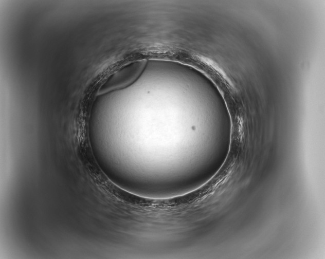 X0000096441350200801241350