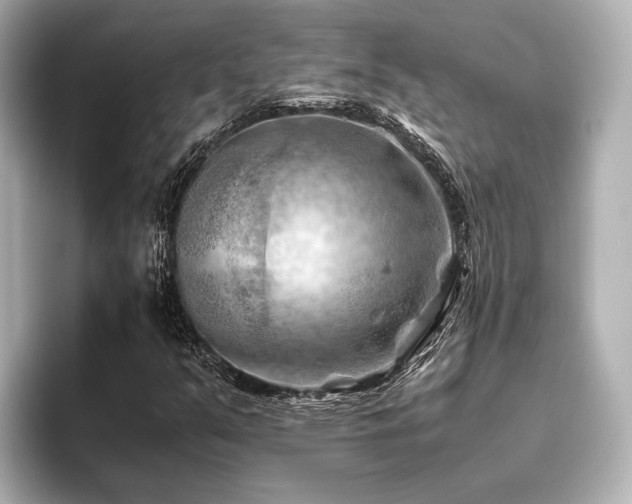 X0000096441351200801241350