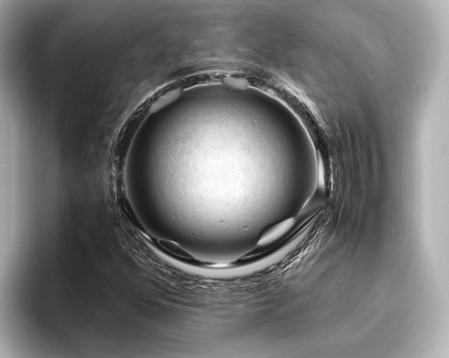 X0000096441352200801241350