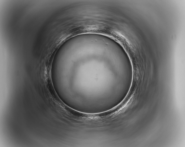 X0000096441353200801241350