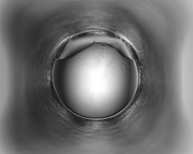 X0000096441355200801241350