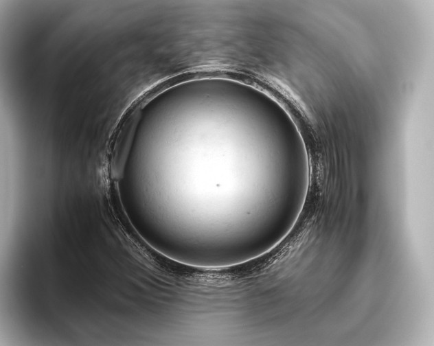 X0000096441356200801241350
