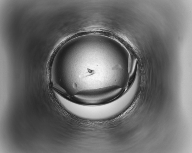 X0000096441358200801241350