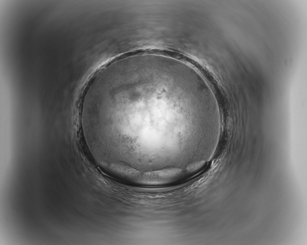 X0000096441359200801241350