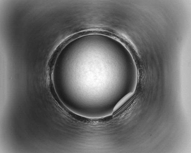 X0000096441360200801241350