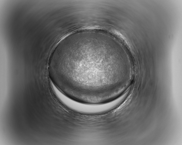 X0000096441361200801241350