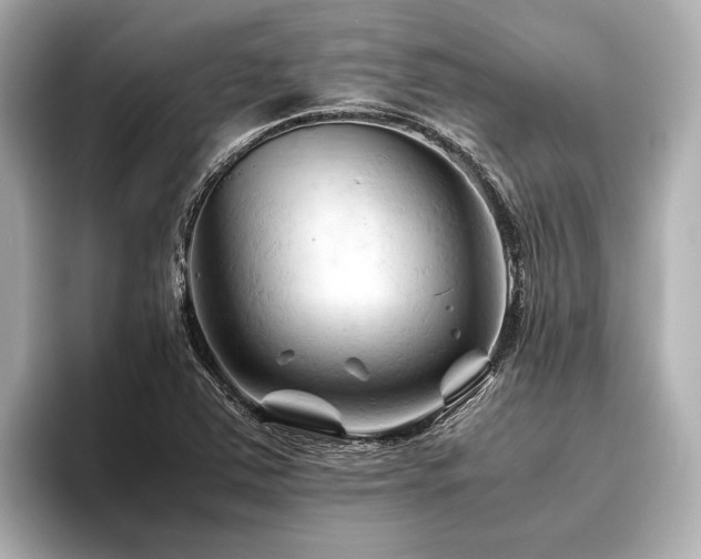 X0000096441363200801241350