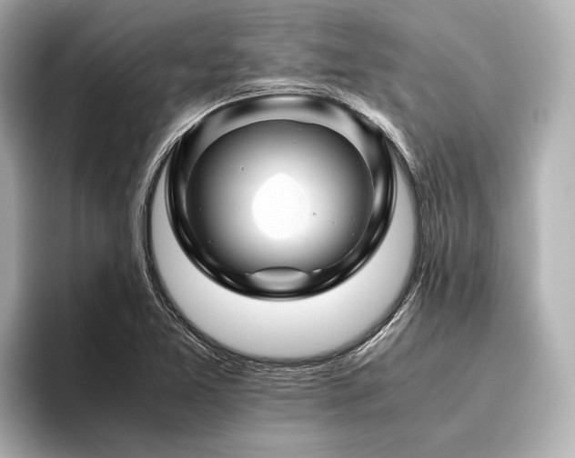 X0000096441365200801241350