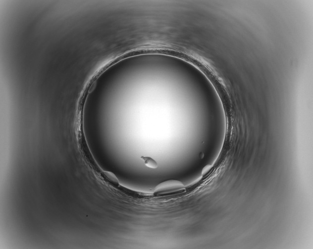 X0000096441366200801241350