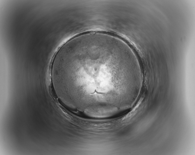 X0000096441367200801241350