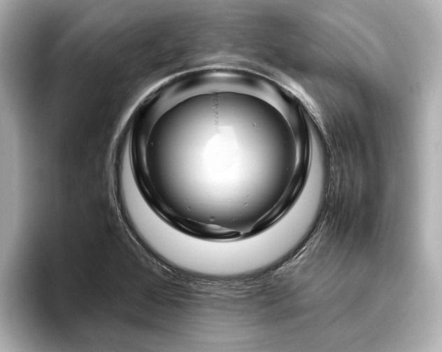 X0000096441368200801241350