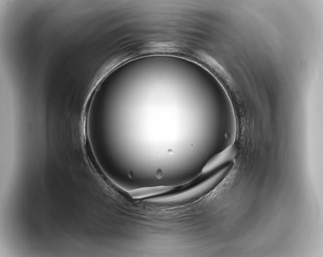 X0000096441370200801241350