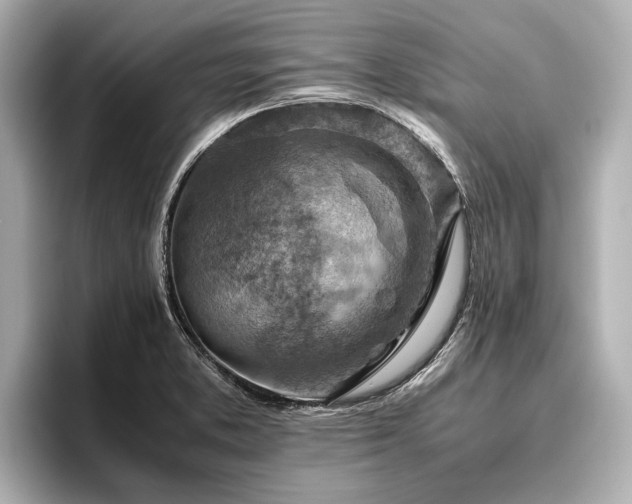 X0000096441373200801241350