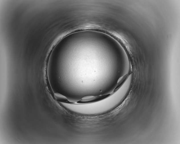 X0000096441374200801241350