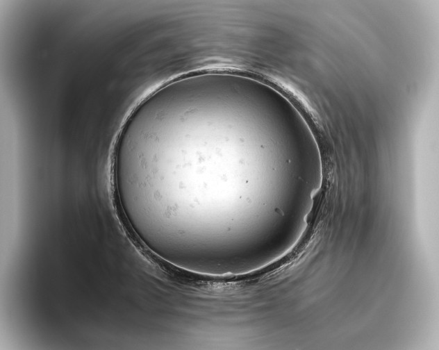 X0000096441375200801241350