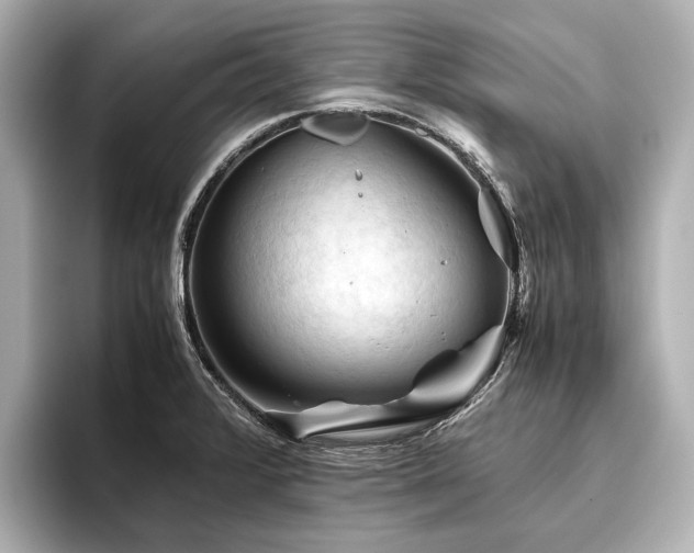 X0000096441376200801241350