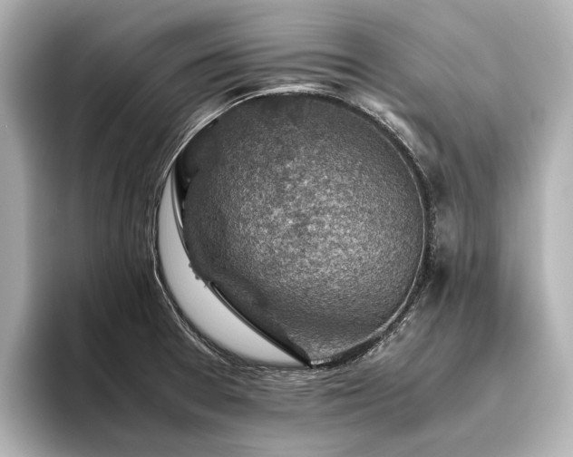 X0000096441377200801241350