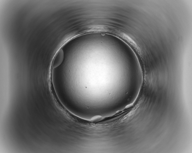 X0000096441378200801241350