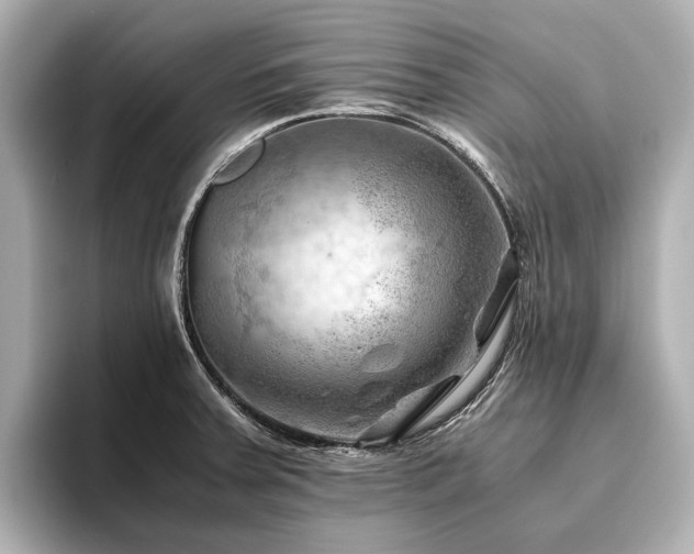 X0000096441379200801241350