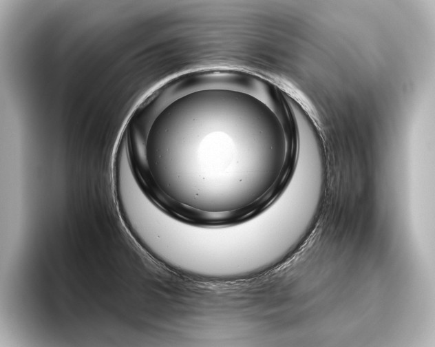 X0000096441380200801241350