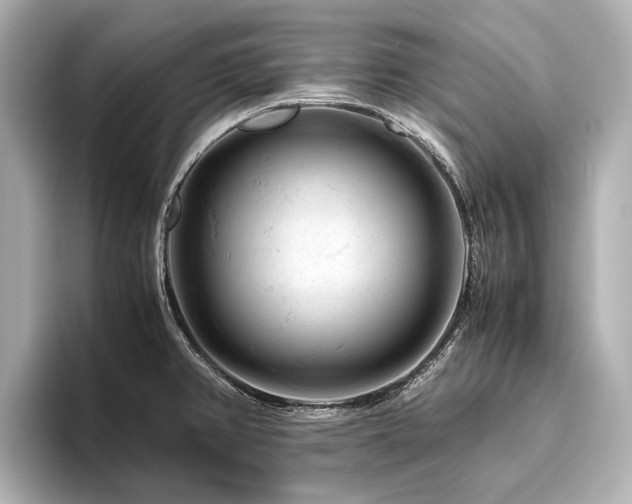 X0000096441382200801241350