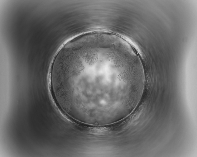 X0000096441383200801241350