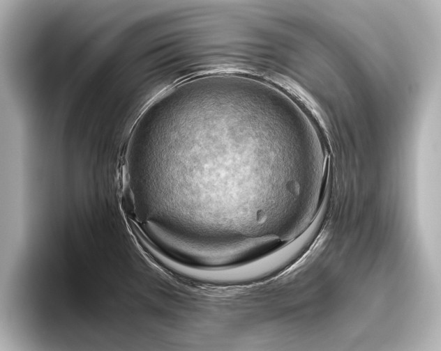 X0000096441385200801241350