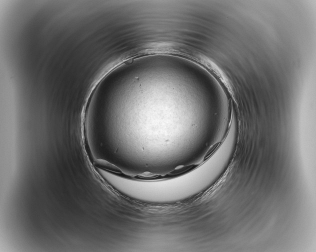 X0000096441386200801241350