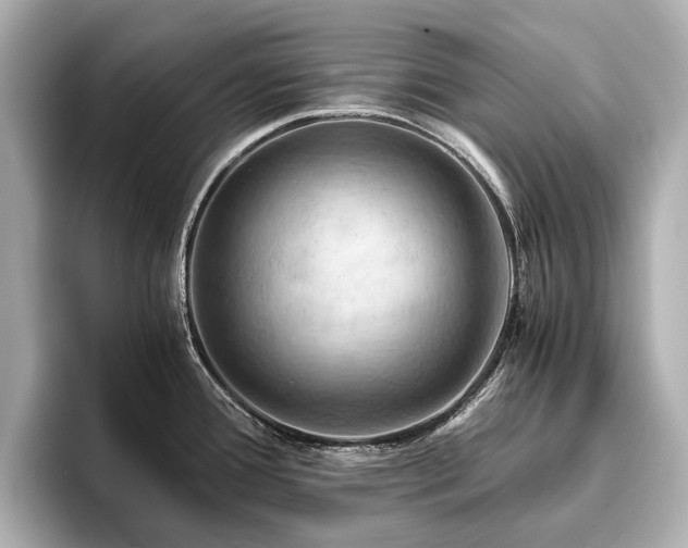 X0000096441388200801241350