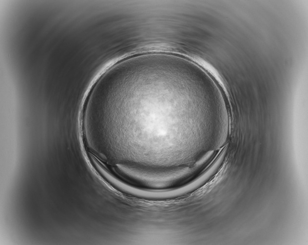 X0000096441389200801241350