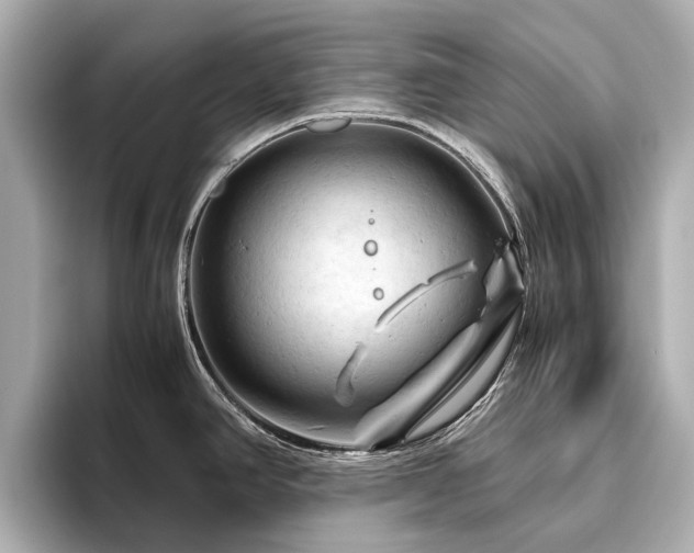 X0000096441390200801241350