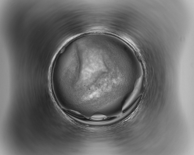 X0000096441392200801241350