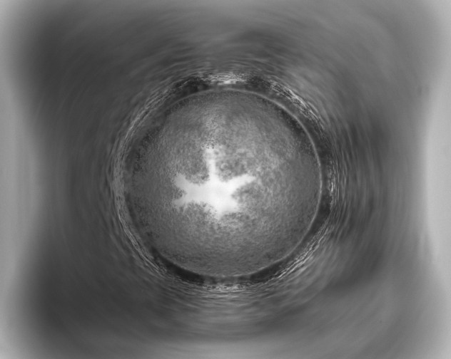 X0000096441393200801241349