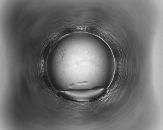 X0000096441394200801241349