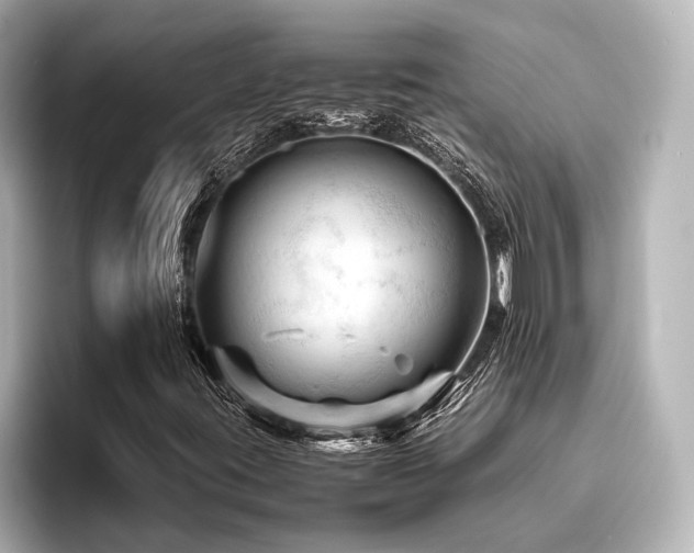 X0000096441395200801241349